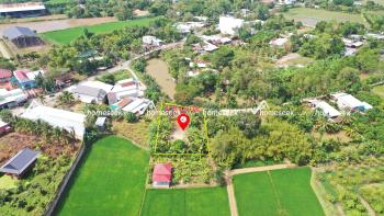 Đất nền c&aacute;ch tỉnh lộ 946 50m2 x&atilde; H&ograve;a B&igrave;nh, huyện Chợ Mới, An Giang 894.8m2