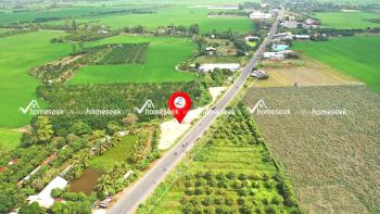 Đất ruộng mặt tiền tỉnh lộ 944, x&atilde; H&ograve;a B&igrave;nh, huyện Chợ Mới, An Giang 1043m2