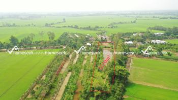 Đất ruộng cặp k&ecirc;nh Trường Tiền, x&atilde; H&ograve;a B&igrave;nh, huyện Chợ Mới, An Giang 2220m2