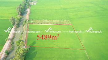 Đất ruộng đường cặp rạch C&aacute;i Dung, phường Mỹ Thạnh, TP.Long Xuy&ecirc;n, An Giang 5489m2