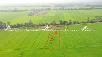 Đất ruộng đường cặp rạch C&aacute;i Dung, phường Mỹ Thạnh, TP.Long Xuy&ecirc;n, An Giang 2771.9m2