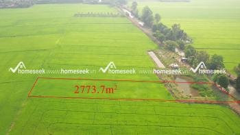 Đất ruộng đường cặp rạch C&aacute;i Dung, phường Mỹ Thạnh, TP.Long Xuy&ecirc;n, An Giang 2773.7m2