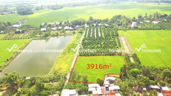 Đất ruộng x&atilde; Vĩnh Ch&aacute;nh, huyện Thoại Sơn, An Giang 3916m2