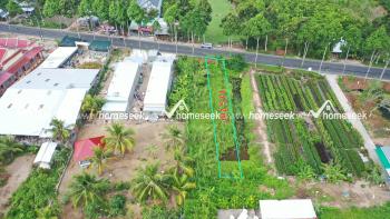 Đất nền số 2 mặt tiền tỉnh lộ 848, xã Tân Khánh Đông, TP. Sa Đéc, Đồng Tháp 175.7m2