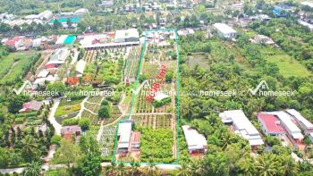 Đất vườn mặt tiền tỉnh lộ 848, xã Tân Khánh Đông, TP. Sa Đéc, Đồng Tháp 8608.3m2