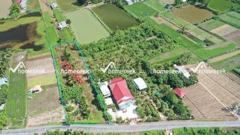 Đất trồng cây hằng năm xã Kiến An, huyện Chợ Mới, An Giang 2550m2