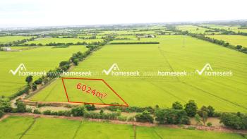 Đất ruộng mặt tiền k&ecirc;nh T&acirc;y An Một, phường Mỹ Thới, TP.Long Xuy&ecirc;n, An Giang 6024m2