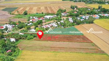 Đất nền xã Hòa Bình Thạnh, huyện Châu Thành, An Giang 5136.1m2