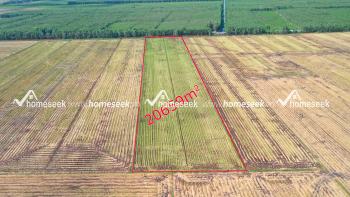 Đất ruộng 20 công cầu số 11, Tà Đảnh, huyện Tri Tôn, An Giang 20659m2