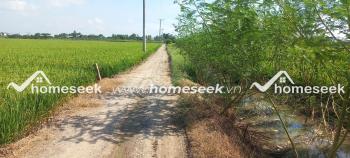 Bán 10 công đất ruộng hai mặt tiền xã Phú Hiệp, huyện Phú Tân, An Giang 10229m2