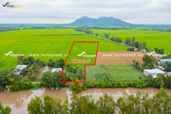 Đất ruộng ở thị trấn Óc Eo, huyện Thoại Sơn, An Giang 12298.3m2