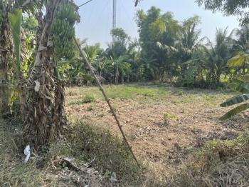 Đất nền mặt tiền đường liên huyện xã Phú Thành, huyện Phú Tân, An Giang 1444.2m2