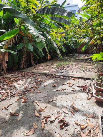 Cho thuê đất nền mặt tiền đường Lê Trọng Tấn, phường Mỹ Phước, thành phố Long Xuyên, An Giang 96.75m2