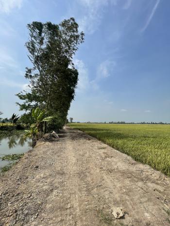 Đất ruộng mặt tiền kênh Vĩnh Chánh, huyện Thoại Sơn, tỉnh An Giang 16.278m2